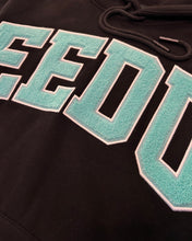 將圖片載入圖庫檢視器 Geedup Team Logo in Black / Teal (2022)