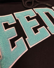 將圖片載入圖庫檢視器 Geedup Team Logo in Black / Teal (2022)