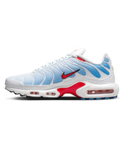 Load image into Gallery viewer, Nike Air Max Plus TN Tide (2022)
