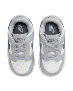 Nike Dunk Low in Summit White / Carbon Grey (TDE)
