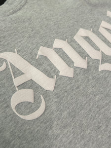 Palm Angels Classic Logo Over T-Shirt in Grey (2022)