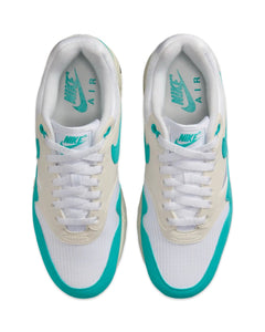 Nike Air Max 1 in Dusty Cactus (W) - Bisy Clothing