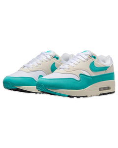 Nike Air Max 1 in Dusty Cactus (W) - Bisy Clothing