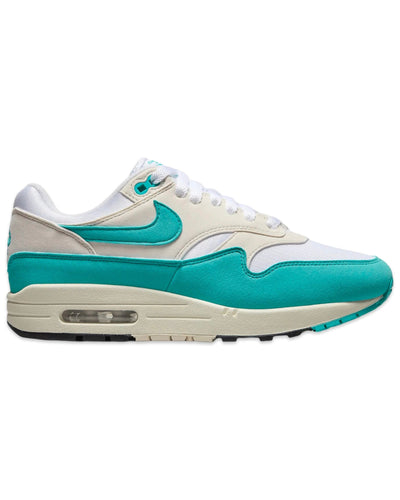 Nike Air Max 1 in Dusty Cactus (W) - Bisy Clothing